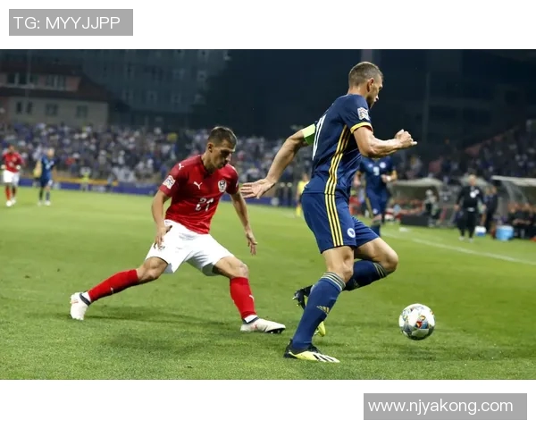 波黑足球明星的传奇之路与他们的辉煌成就探秘